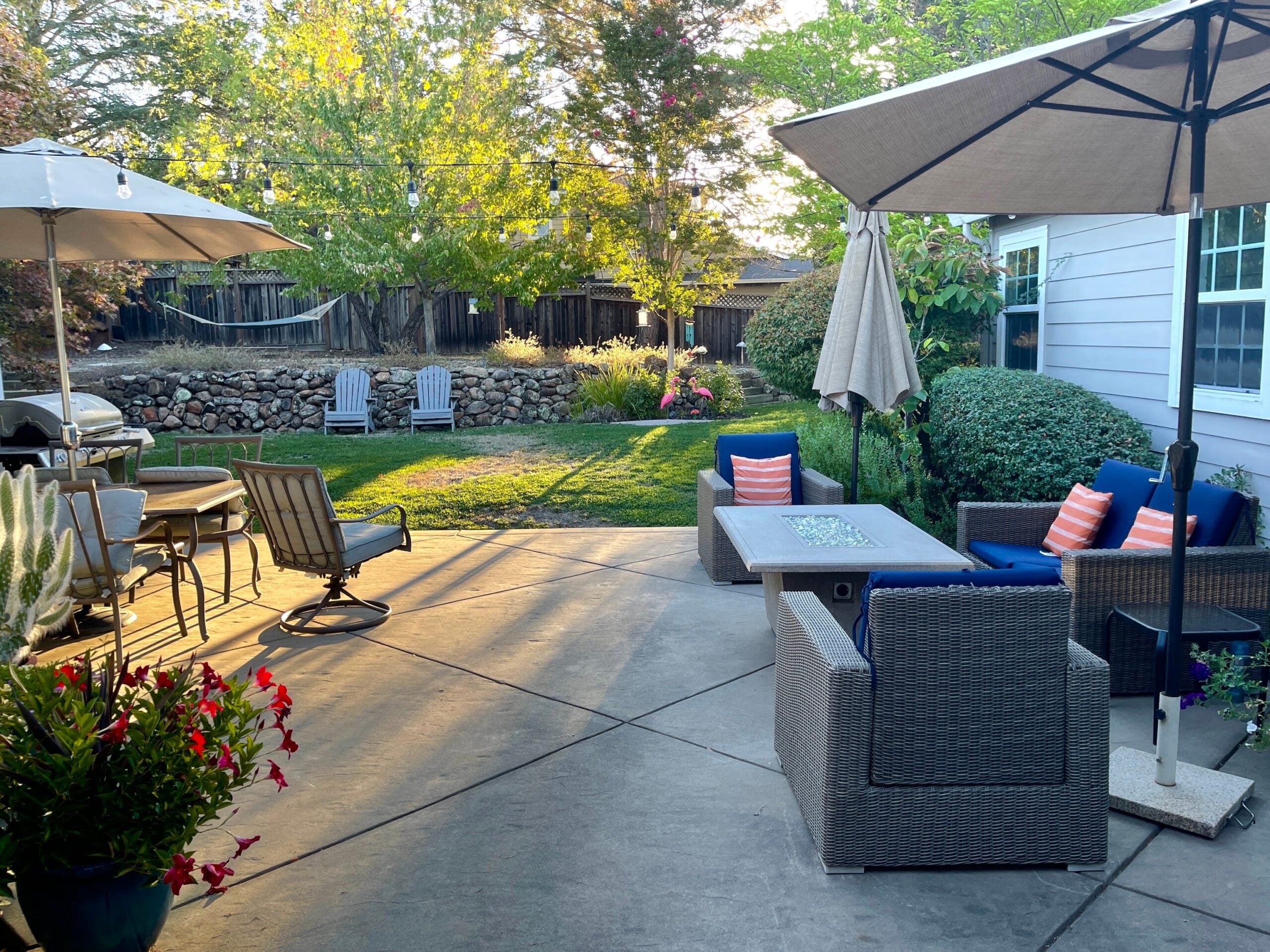 69b08777441e48aec3a1d969-scaled-1 Unser neuer Garten ist deutlich kleiner