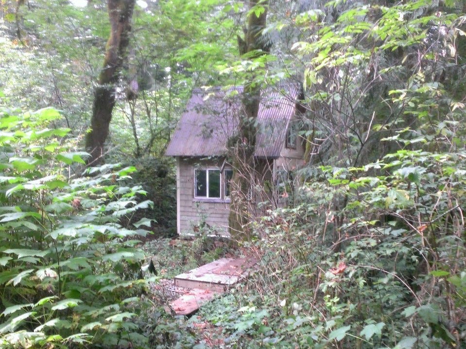 Die Hütte, von der Straße aus gesehen, kurz nach dem Kauf. Verrottetes Sperrholz dient als Brücke über den Schlamm.